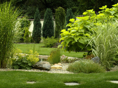 JARDINES 5 scaled Técnico profesional en jardinería, diseño, creación y mantenimiento de jardines