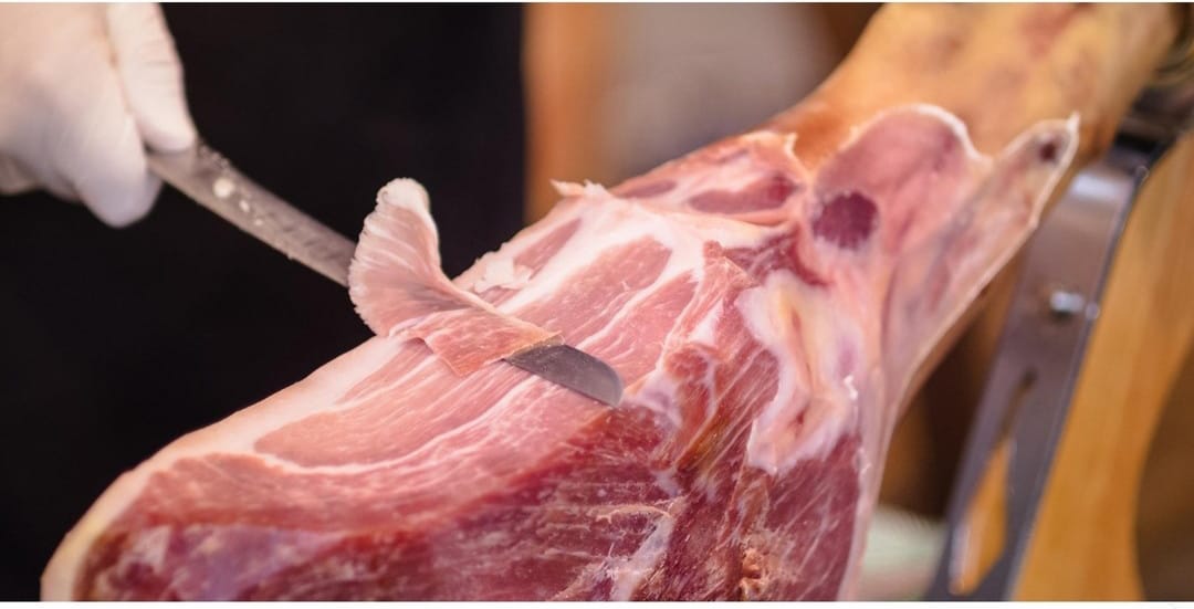 WhatsApp Image 2022 11 16 at 22.55.46 WhatsApp Image 2022 11 16 at 22.55.46