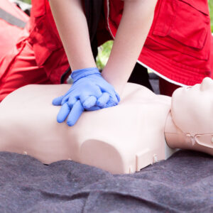 shutterstock 1029603022 scaled