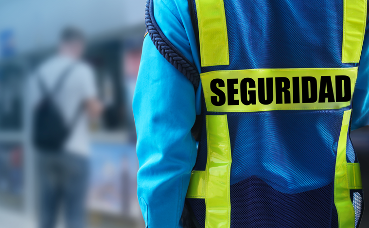 seguridad seguridad